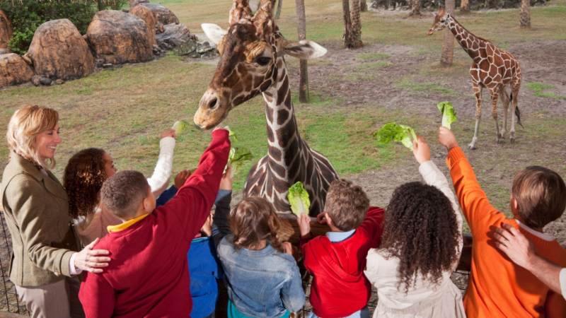  kegiatan perjalanan di luar kelas atau lokasi kerja yang dilakukan untuk tujuan pembelajaran atau rekreasi